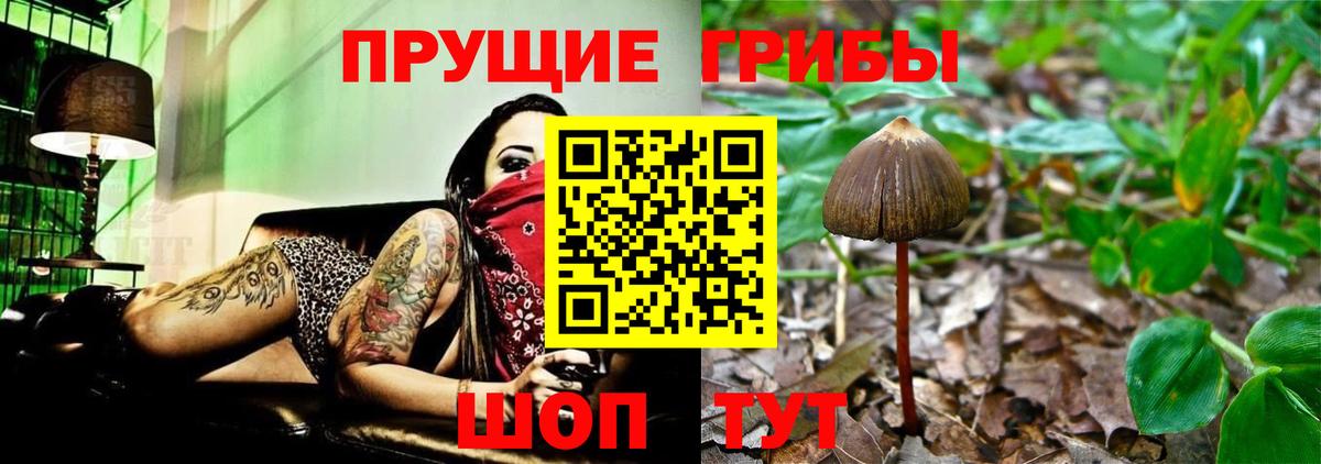 Ефремов  Псилоцибиновые грибы ЛСД  Вход с VPN 